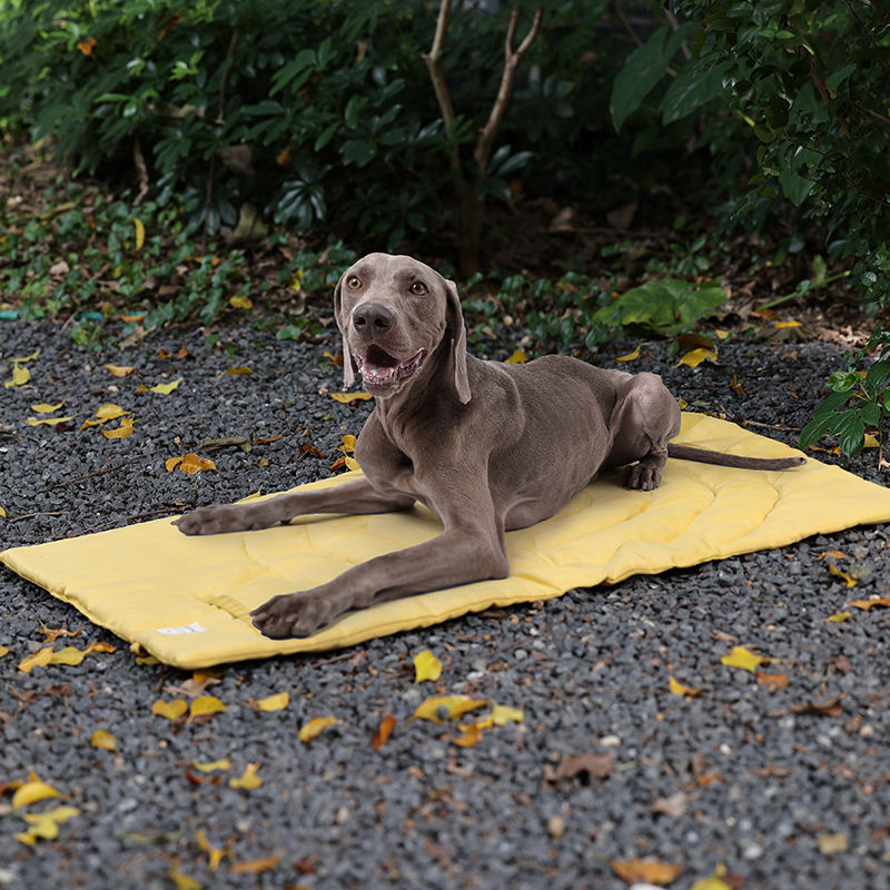 Portable Pet Mat Foldable Pet  - Outdoor Rug Waterproof 评论和价格