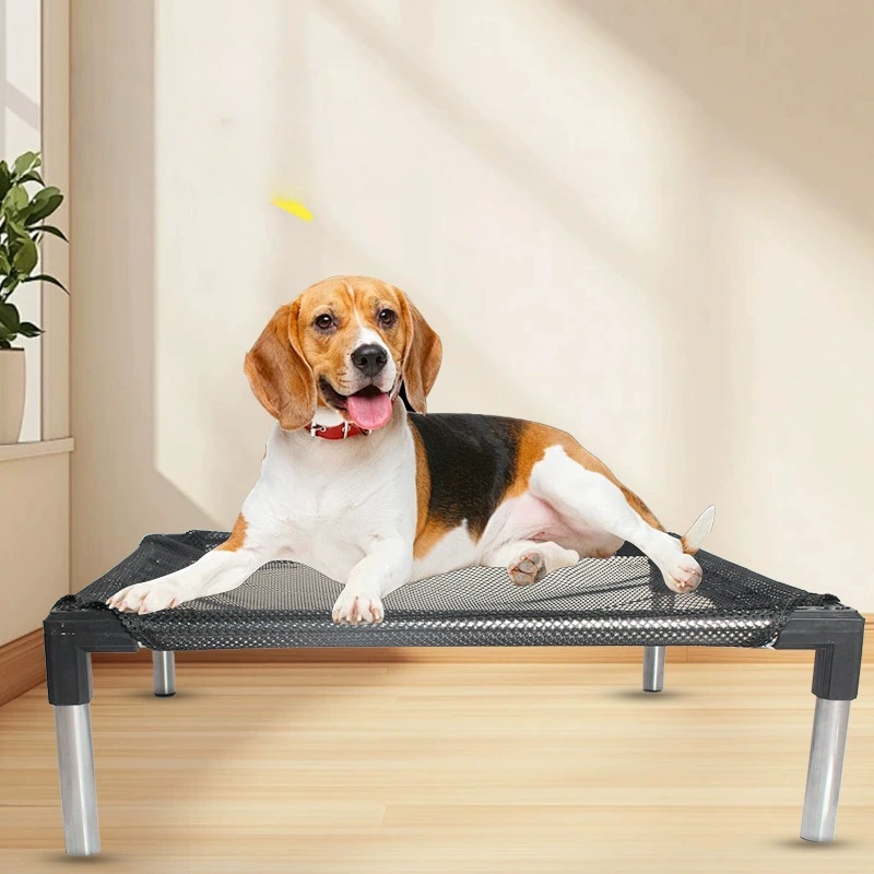 Cooling Elevated Dog Bed - Rai - Outdoor Daybed Sofa 评论和价格